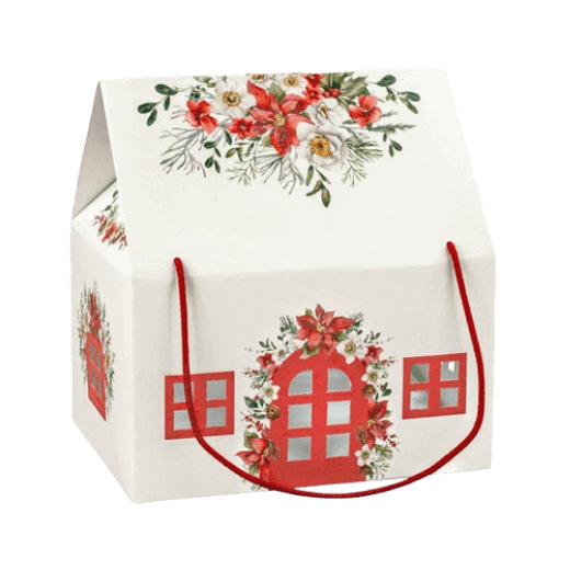 big-christmas-house